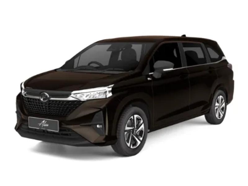 standard mpv